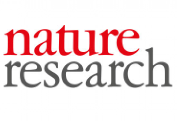Publishing in a Nature Research journal