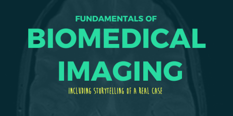 Fundamentals of Biomedical Imaging - lecture course