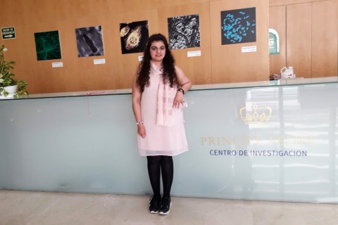 Workshop on fundamentals and applications of the flow cytometry