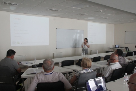 III CONIN workshop - Systems with competing electrostatic and short-range interac-tions