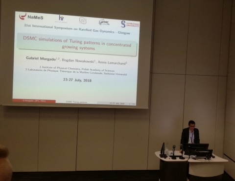 31st International Symposium of Rarefied Gas Dynamics