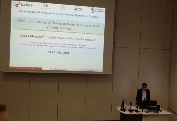 31st International Symposium of Rarefied Gas Dynamics