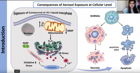 Virtual 38th American Association for Aerosol Research Conference 