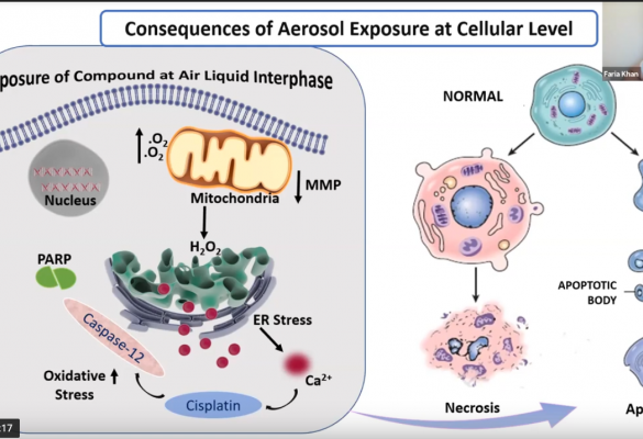 Virtual 38th American Association for Aerosol Research Conference 