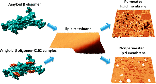 Graphical abstract