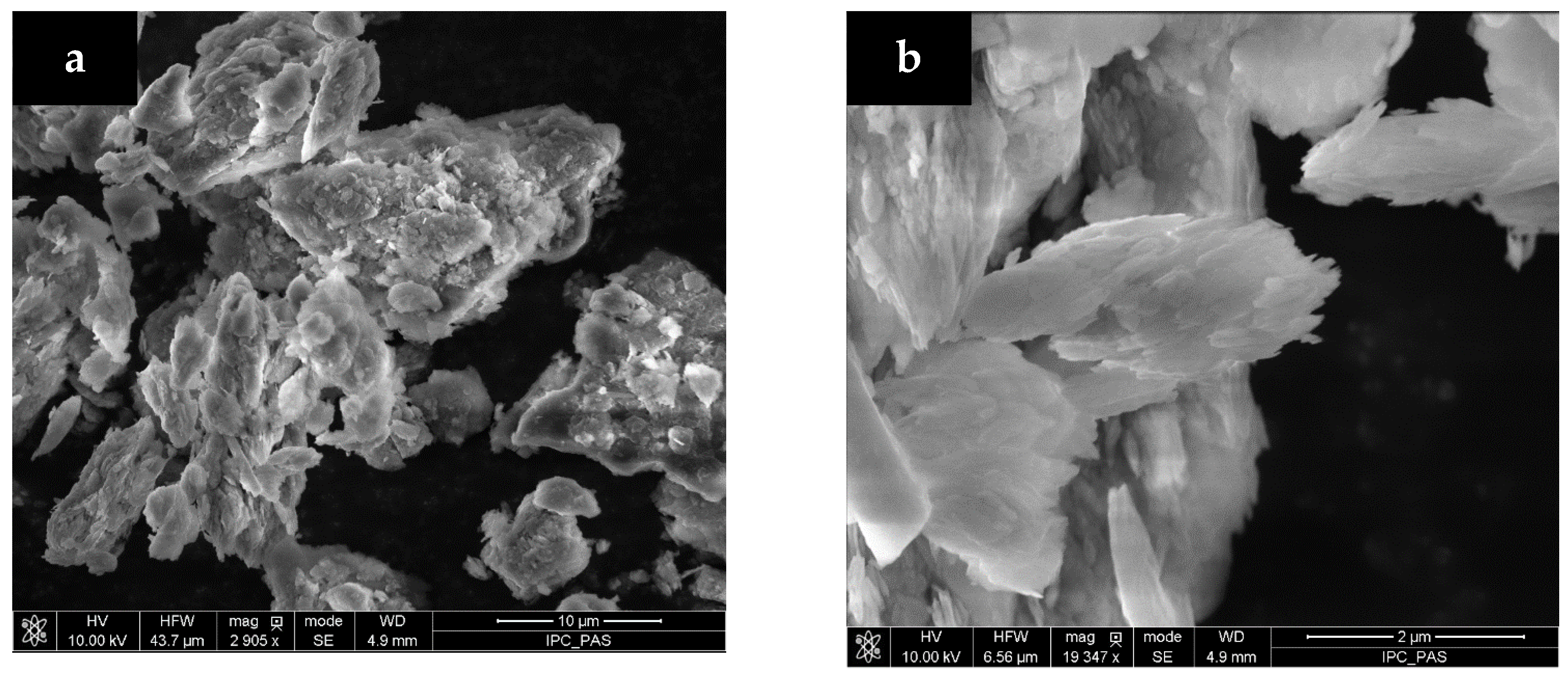 Morphological analysis of Alvarães kaolin