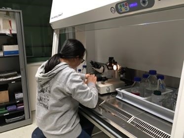 Lab visit to the Radbound University