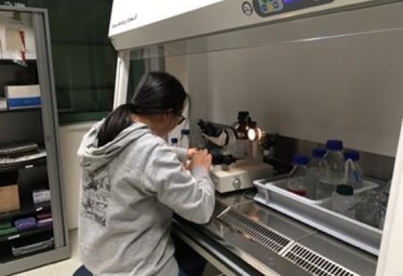 Lab visit to the Radbound University