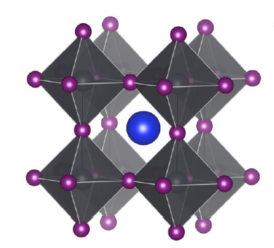 How Physical Chemistry advances Materials Science: solid-state NMR of lead halide perovskites for optoelectronics