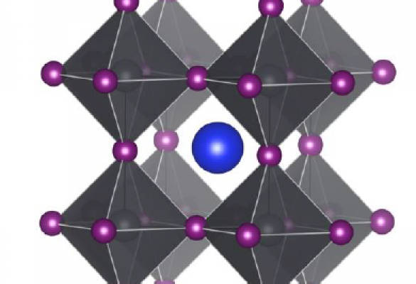 How Physical Chemistry advances Materials Science: solid-state NMR of lead halide perovskites for optoelectronics