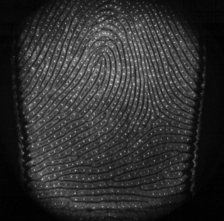 Full-field optical coherence tomography: from micro to macro imaging