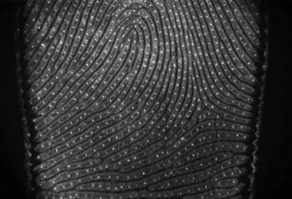 Full-field optical coherence tomography: from micro to macro imaging