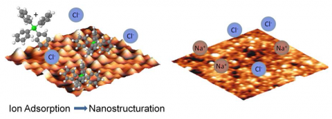 From fire ants to graphene: some considerations on water-hydrophobic interfaces