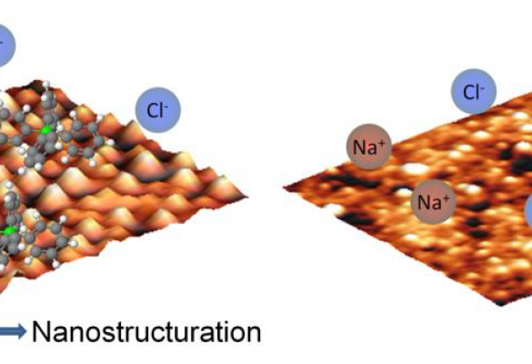 From fire ants to graphene: some considerations on water-hydrophobic interfaces